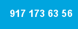 917 173 63 56